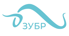 ЗУБР